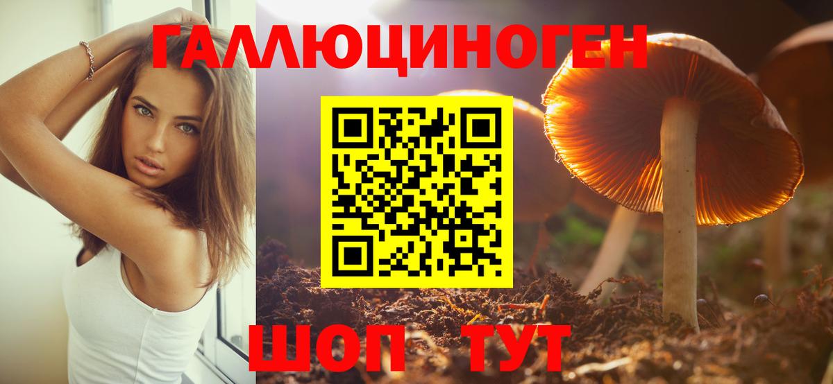Сунжа  Псилоцибиновые грибы Cubensis  Вход с VPN  Галлюциногенные грибы прущие грибы 